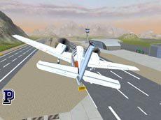 Free Flight Sim